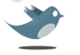 Follow my Twitter